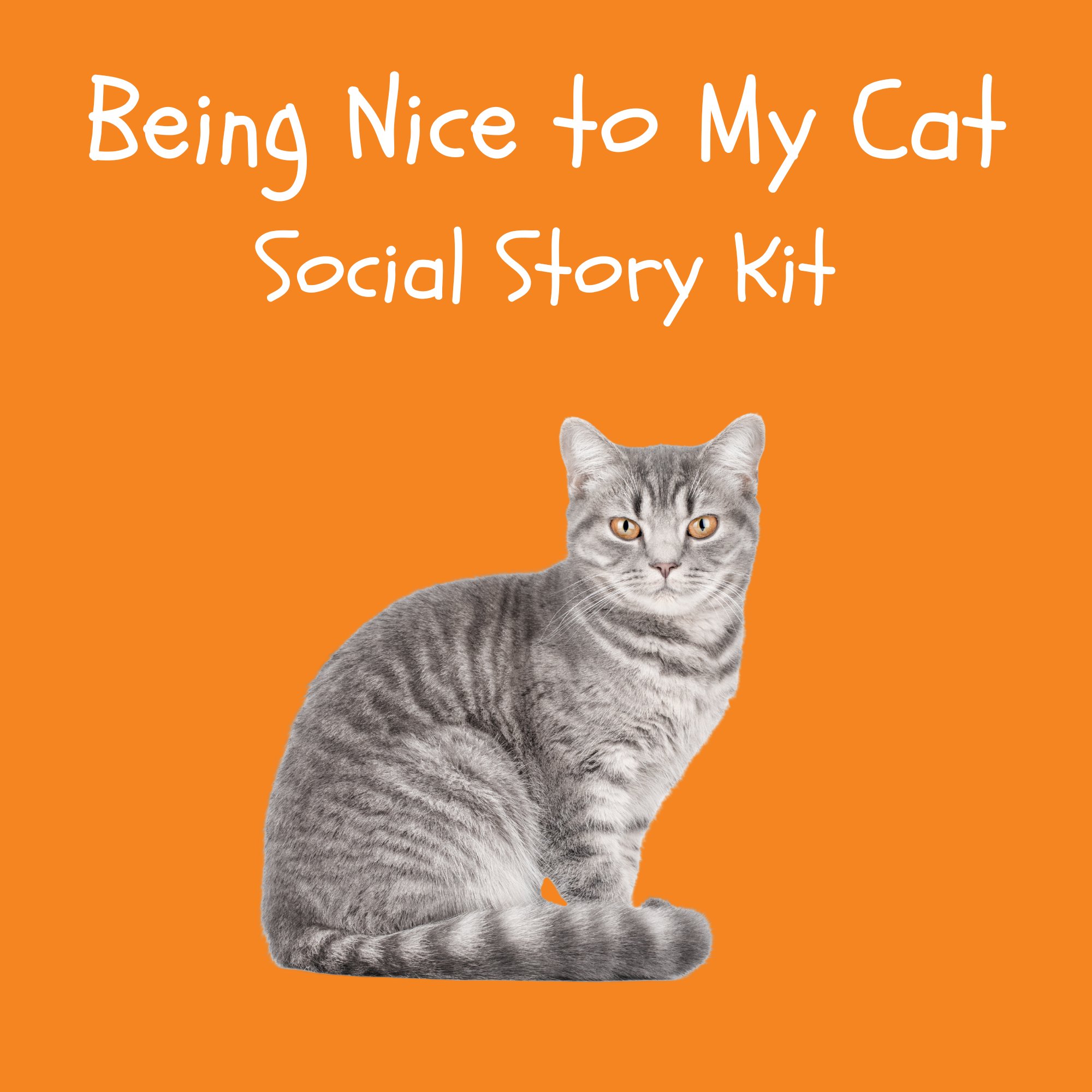 Being Nice to My Cat Social Story Kit kit cover