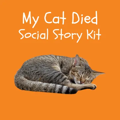 My Cat Died Social Story Kit kit cover